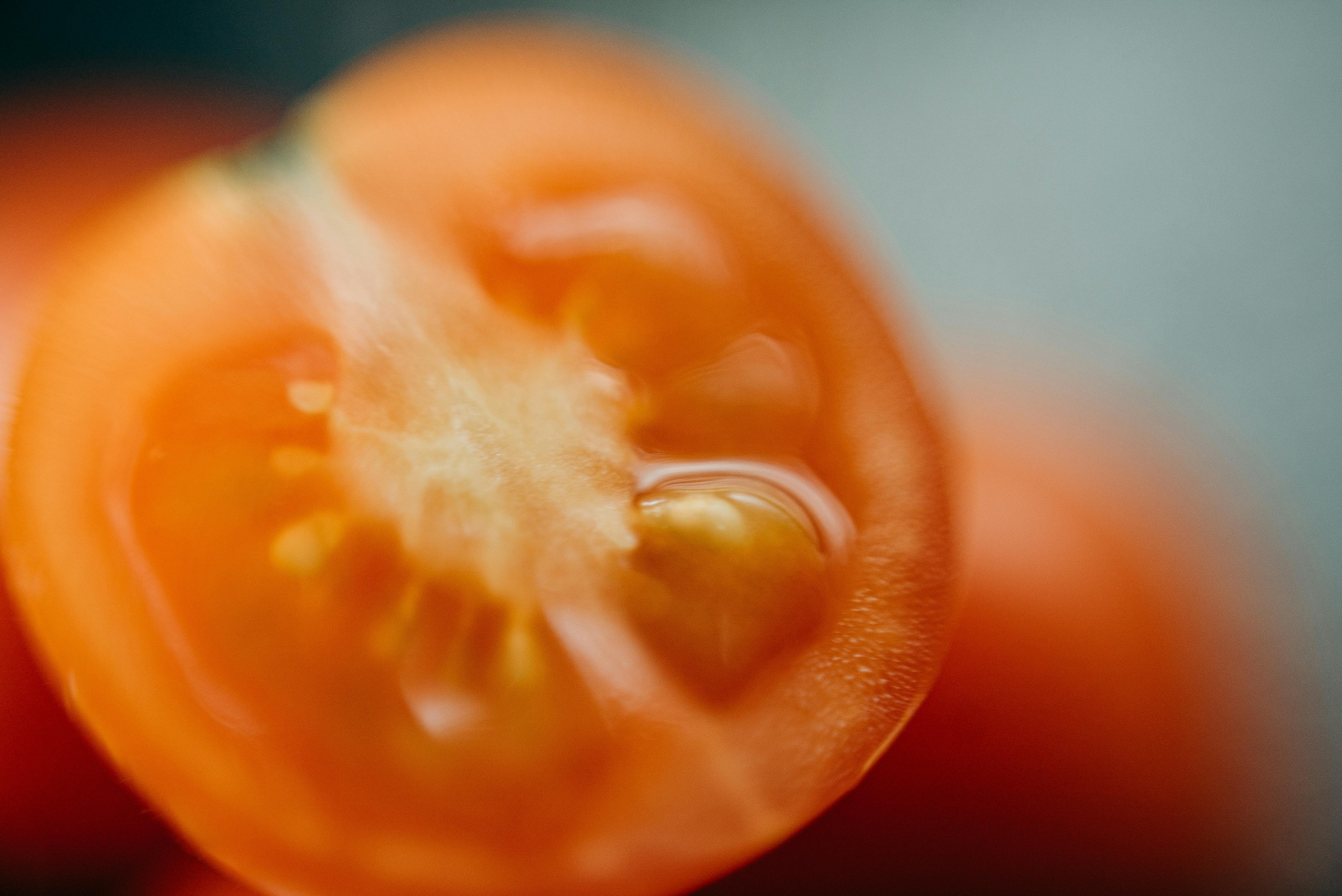 Preserving Tomato Seeds